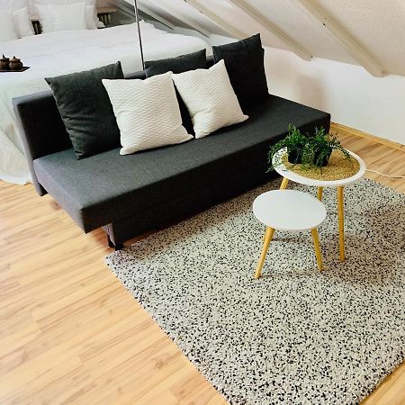 Studio Apartment In Direkter Naehe Zur Uniklinik Homburg 洪堡 外观 照片