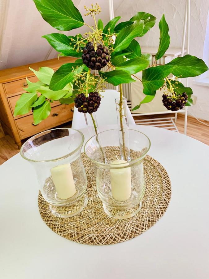 Studio Apartment In Direkter Naehe Zur Uniklinik Homburg 洪堡 外观 照片