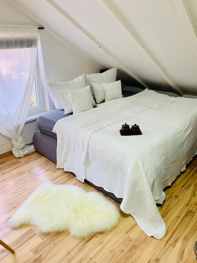 Studio Apartment In Direkter Naehe Zur Uniklinik Homburg 洪堡 外观 照片