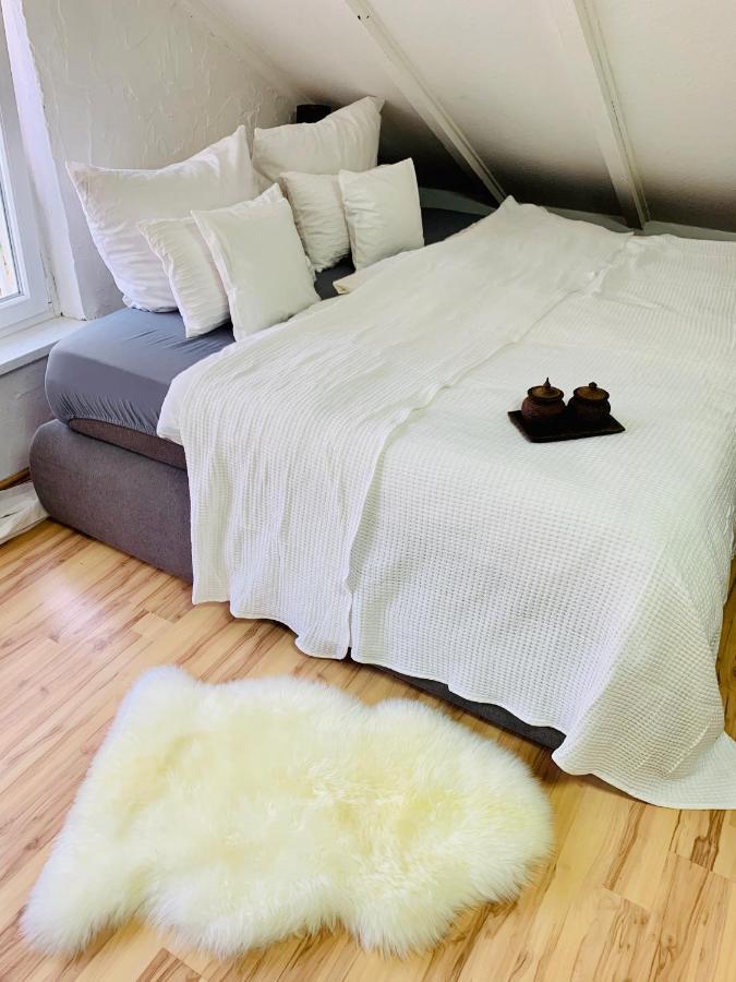 Studio Apartment In Direkter Naehe Zur Uniklinik Homburg 洪堡 外观 照片