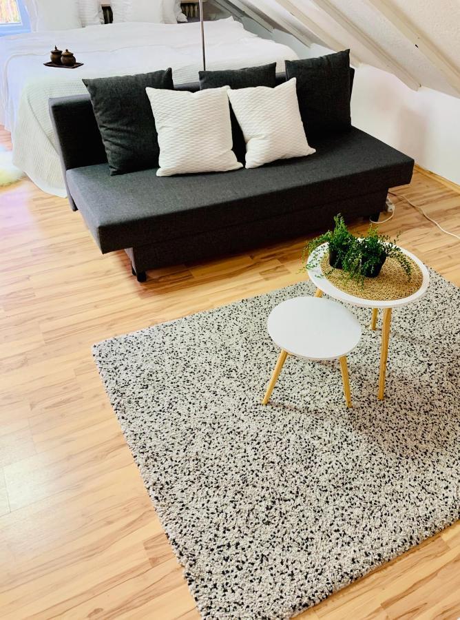 Studio Apartment In Direkter Naehe Zur Uniklinik Homburg 洪堡 外观 照片