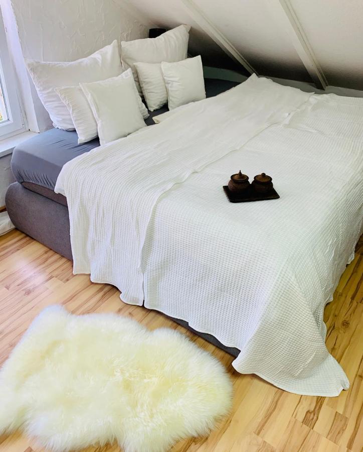Studio Apartment In Direkter Naehe Zur Uniklinik Homburg 洪堡 外观 照片