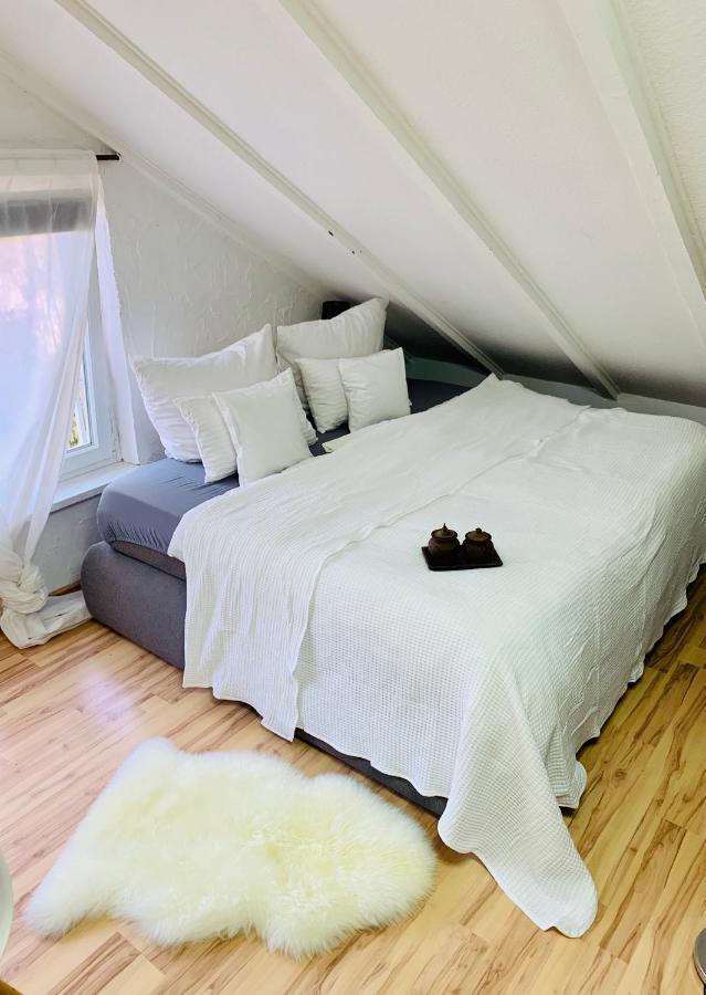 Studio Apartment In Direkter Naehe Zur Uniklinik Homburg 洪堡 外观 照片