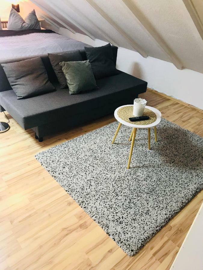 Studio Apartment In Direkter Naehe Zur Uniklinik Homburg 洪堡 外观 照片